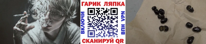ГАШ Premium  Купить  Солнечногорск 