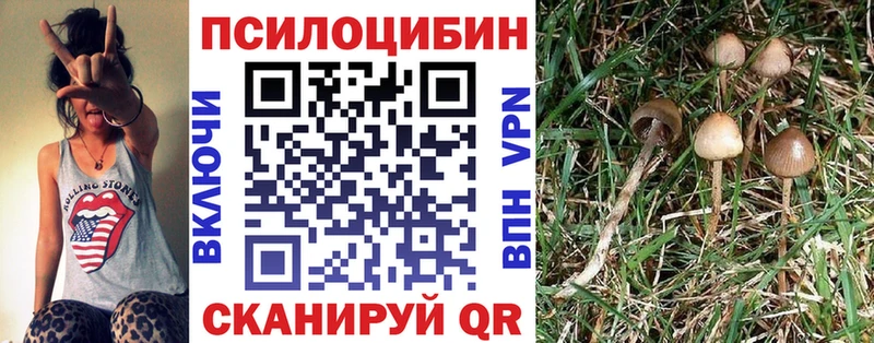Купить закладки  Солнечногорск  Псилоцибиновые грибы Magic Shrooms 